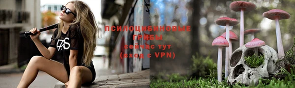 мет Алзамай